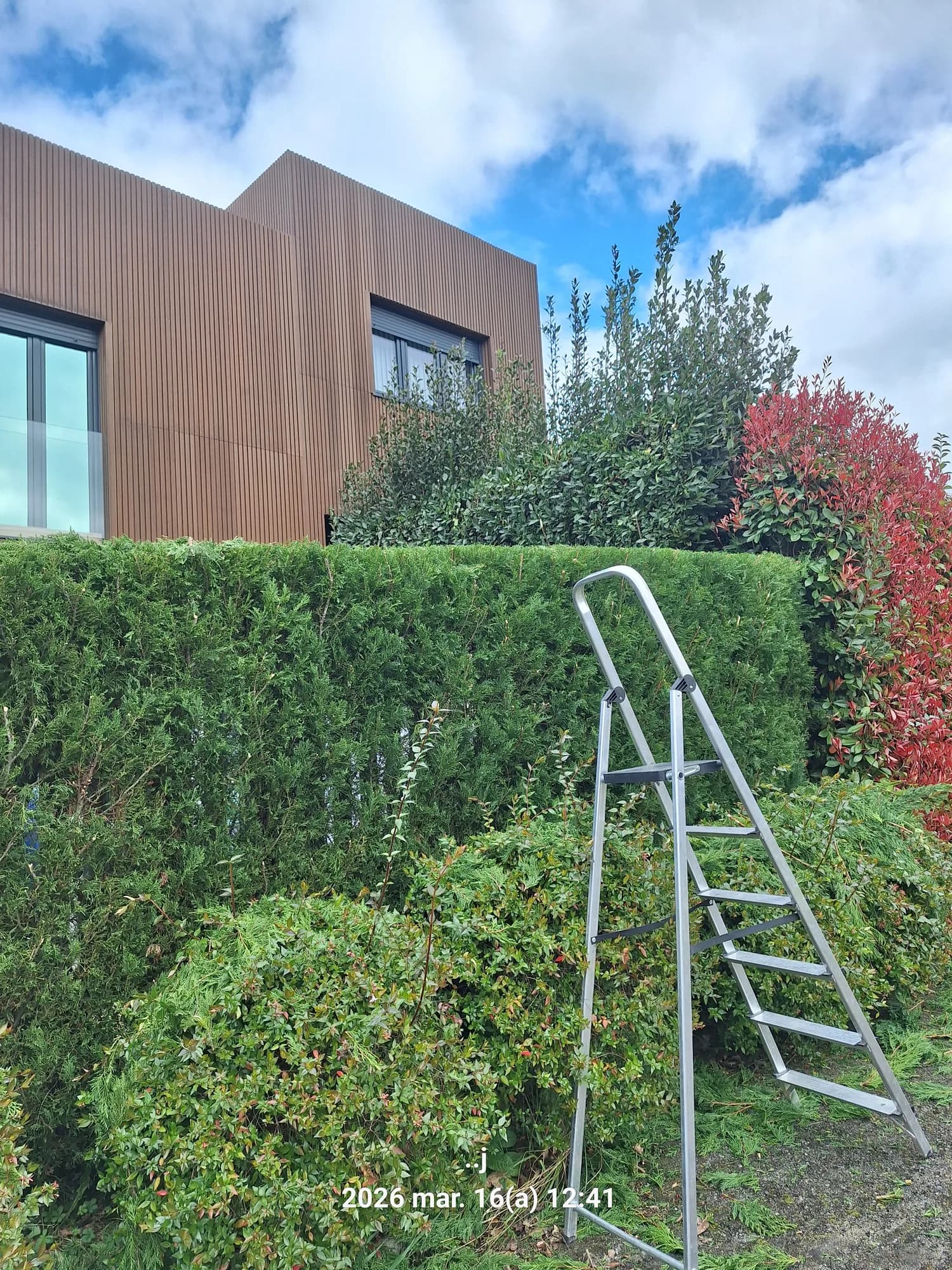 Jardín y seto junto a una vivienda, listos para realzar con iluminación