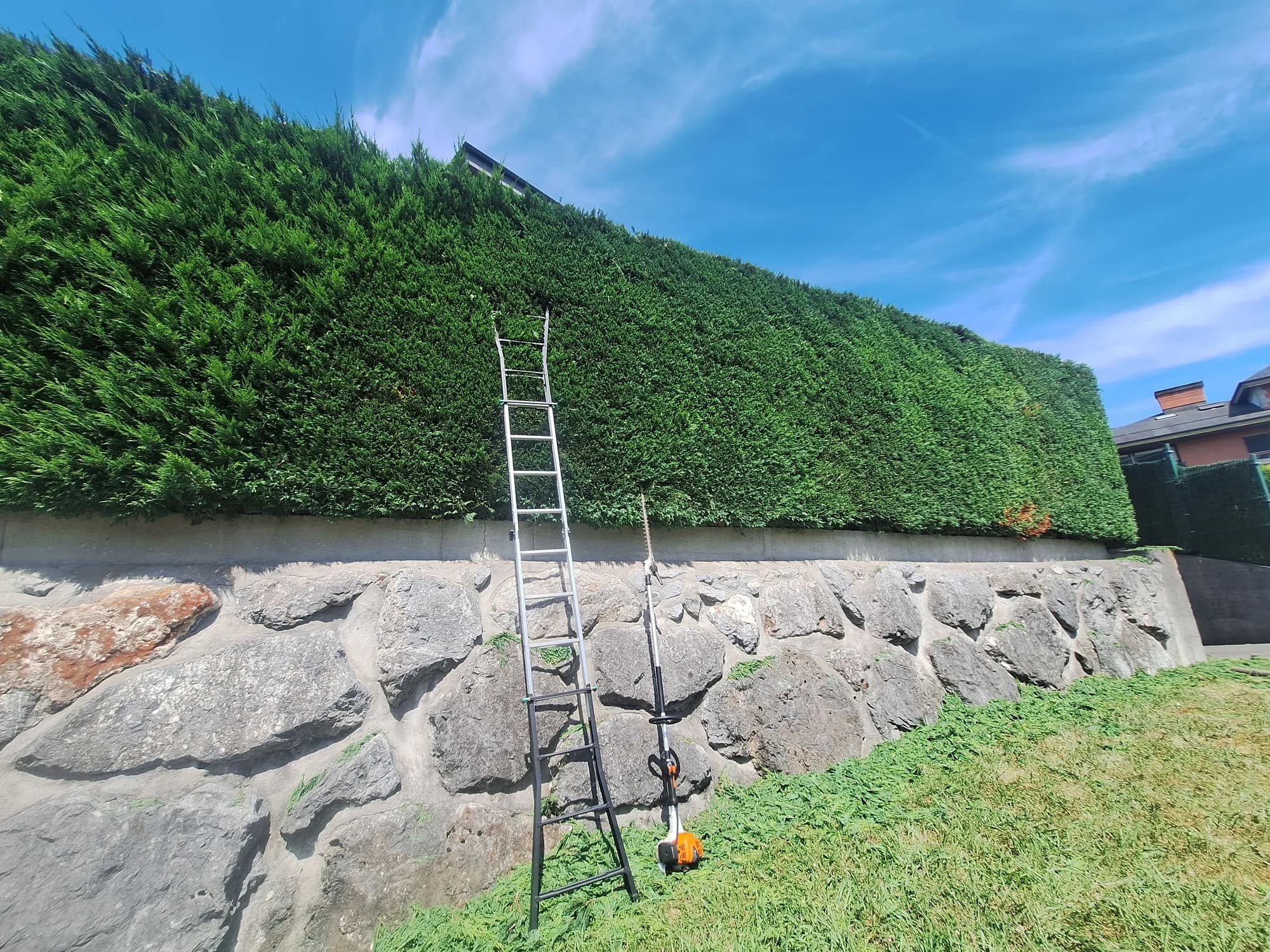 Muro de piedra con seto alto bien mantenido